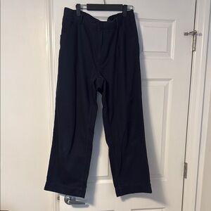 Banana Republic Navy Pants